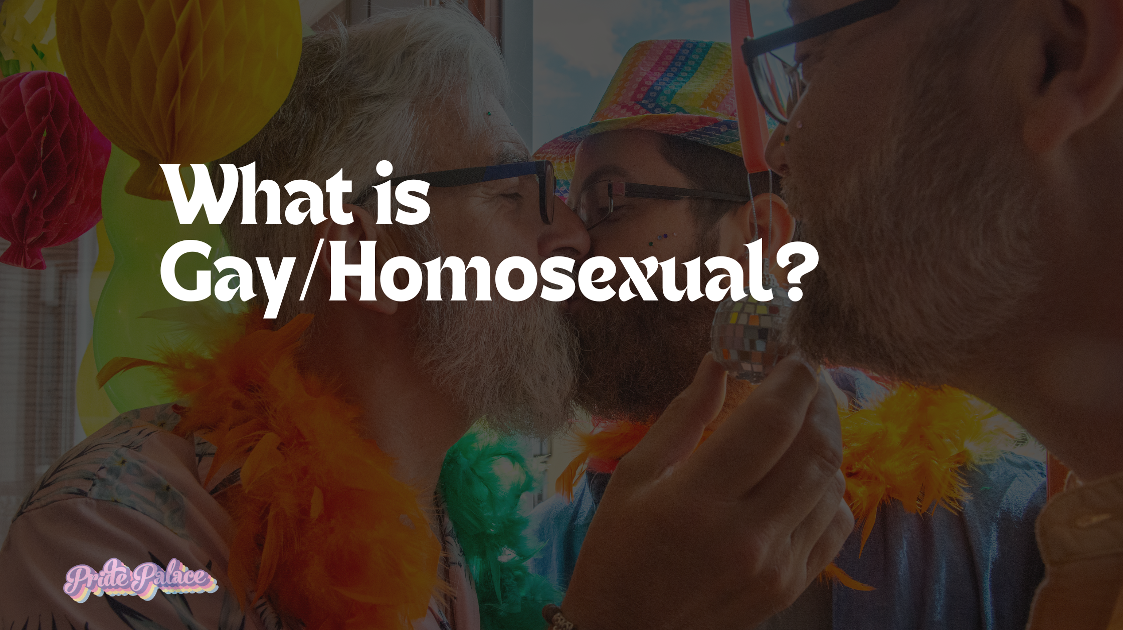 What Is Gay/Homosexual?