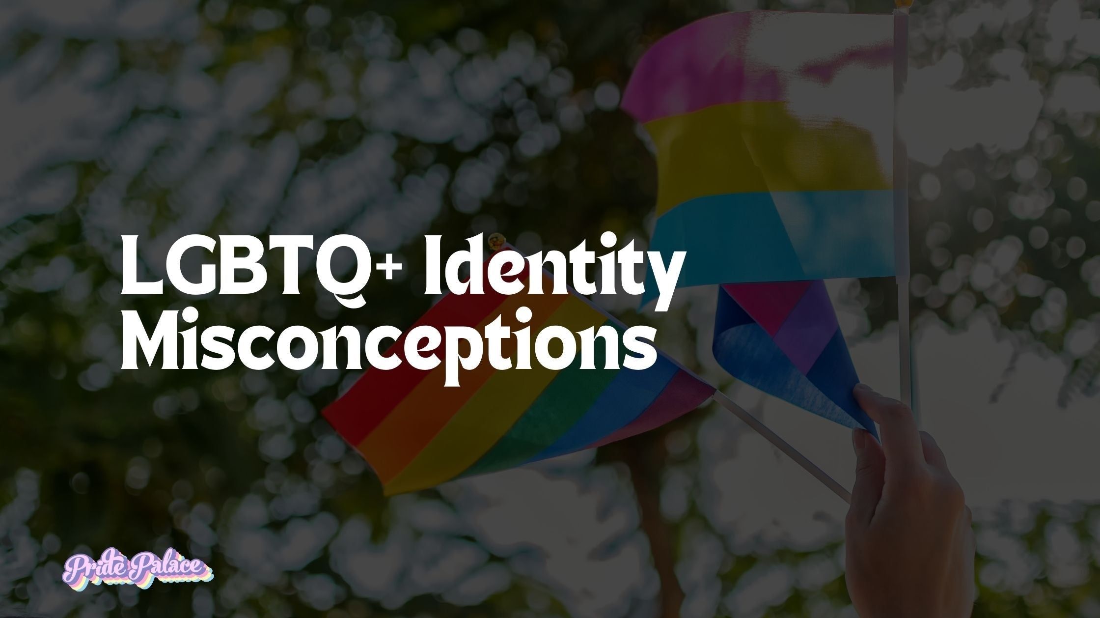 LGBTQ+ Identity Misconceptions