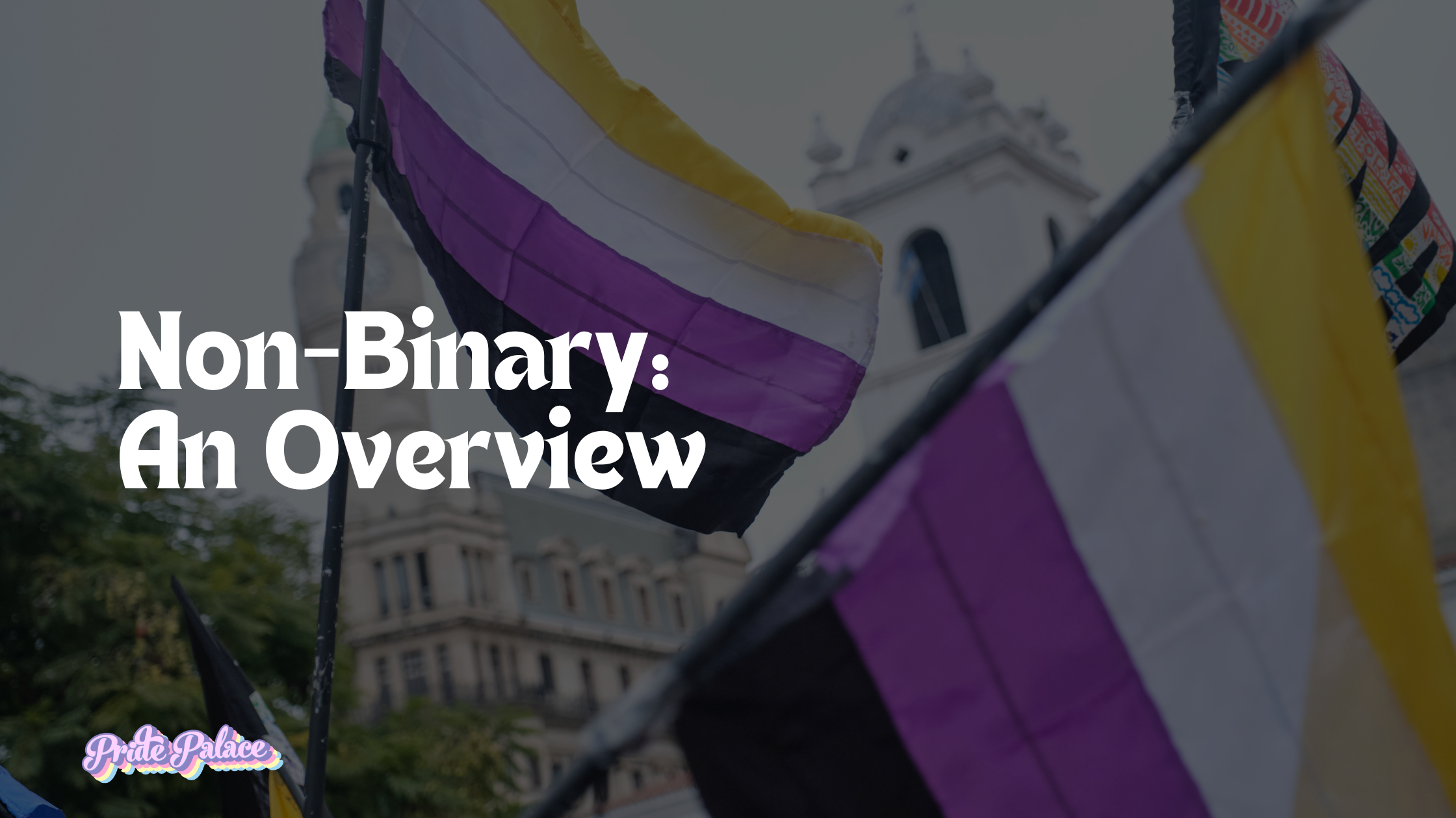 Non-Binary: An Overview
