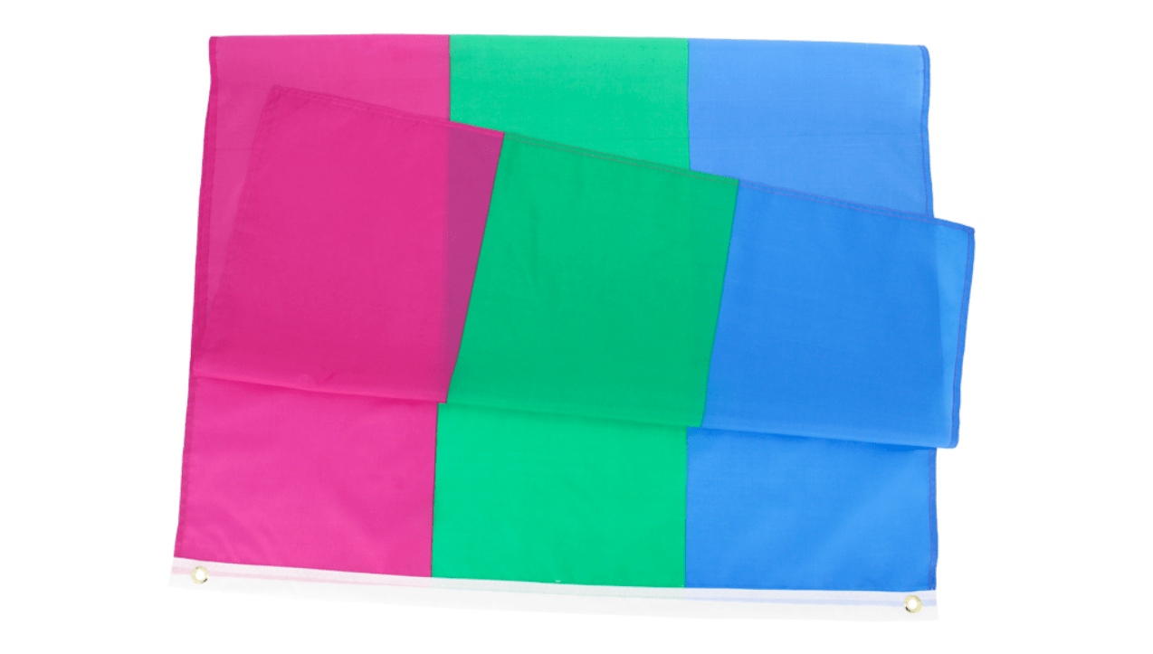 Polysexual Pride Flag - Pride Palace