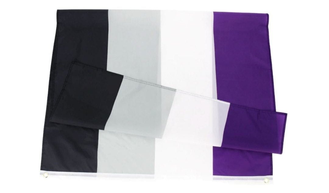 Asexual Pride Flag - Pride Palace